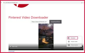 Press Download Now to download Pinterest videos