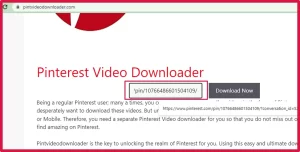 Paste the URL of video in the Downloader