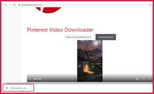 Pinterest Video is downloaded in your device